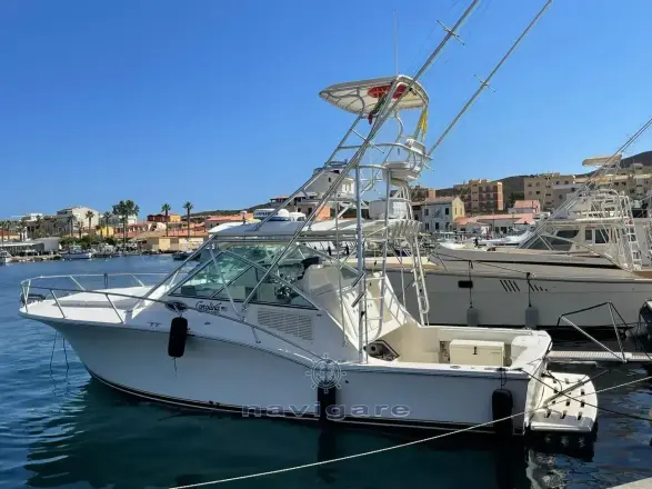 Carolina Classic Classic 32