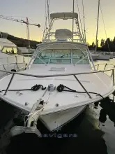 Thumbnail von Carolina Classic Classic 32