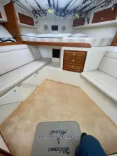 Thumbnail von Carolina Classic Classic 32