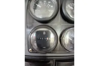 Thumbnail von Leopard 45 Mere Cat