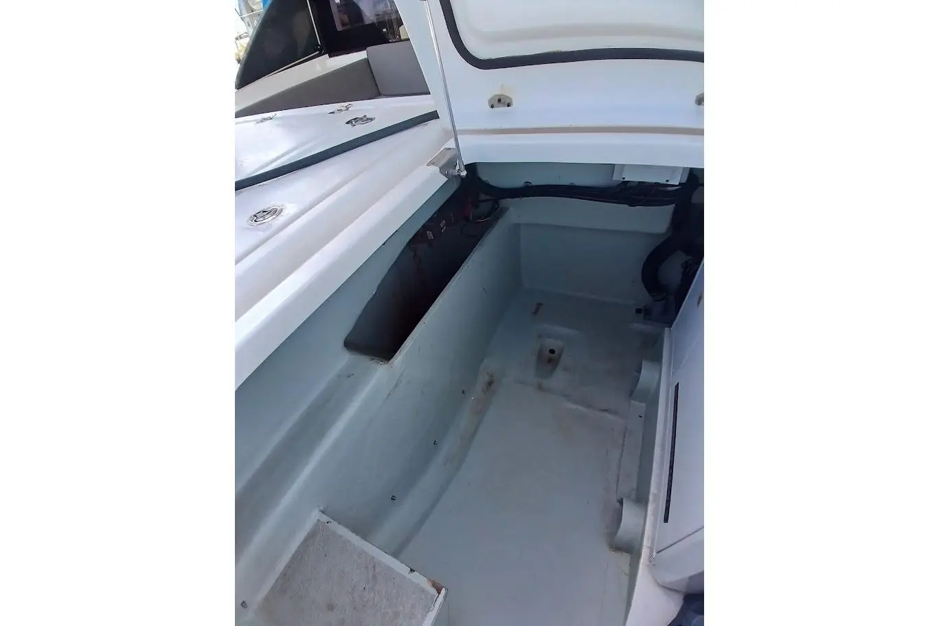 Thumbnail von Leopard 45 INCOMMUNICADO