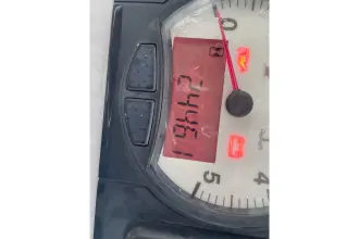 Thumbnail von Leopard 40 Another Thyme