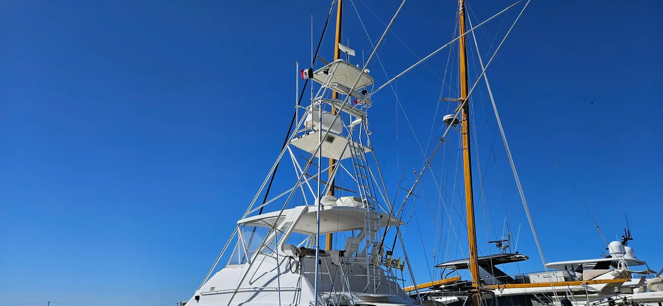 Thumbnail von Bertram Convertable TRUE GRIT