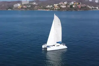 Thumbnail von Custom Kurt Hughes 45 Capricorn Cat