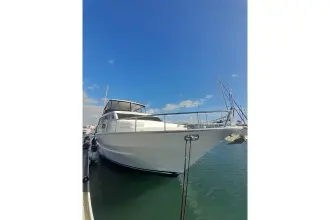 Thumbnail von Tarrab 88 Rehab