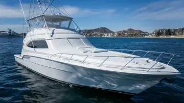 Thumbnail von Bertram 67 Convertible Chill 'N