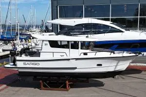 Sargo 31