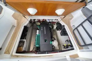 Thumbnail von Sargo 31