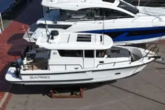 Thumbnail von Sargo 31