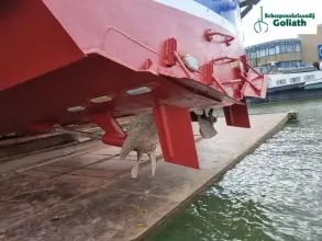 Thumbnail von Ex-Patrouille Vaartuig 21.30 Verifier