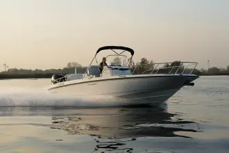 Thumbnail von Boston Whaler 270 Dauntless