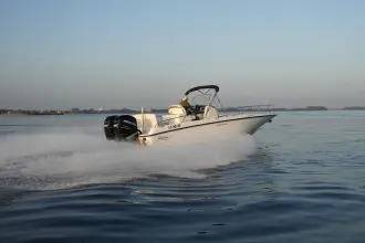 Thumbnail von Boston Whaler 270 Dauntless