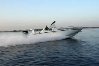 Thumbnail von Boston Whaler 270 Dauntless