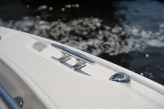 Thumbnail von Boston Whaler 250 Dauntless