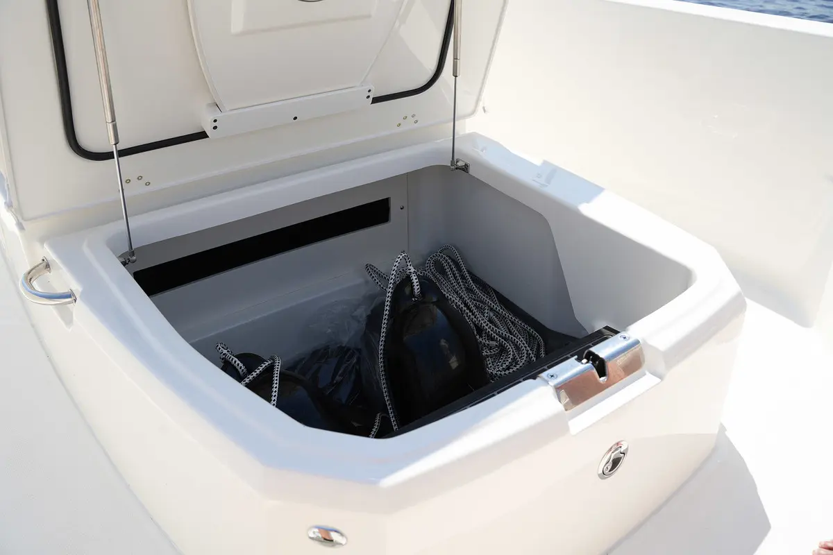 Thumbnail von Boston Whaler 250 Dauntless