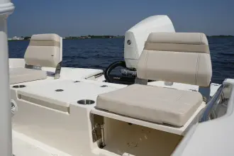 Thumbnail von Boston Whaler 250 Dauntless