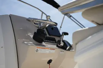 Thumbnail von Boston Whaler 250 Dauntless