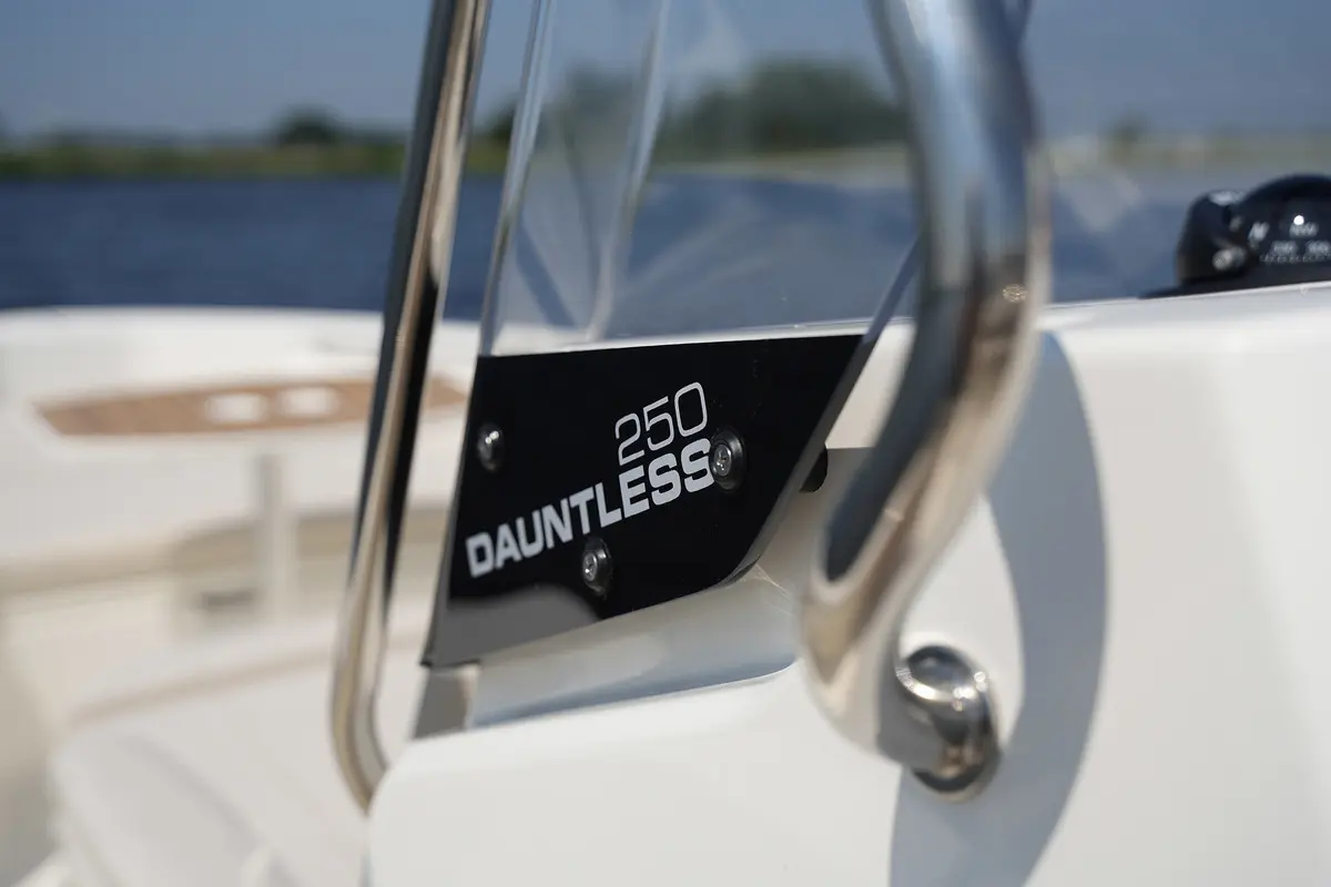 Thumbnail von Boston Whaler 250 Dauntless