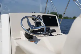 Thumbnail von Boston Whaler 250 Dauntless