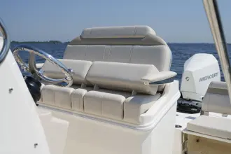 Thumbnail von Boston Whaler 250 Dauntless