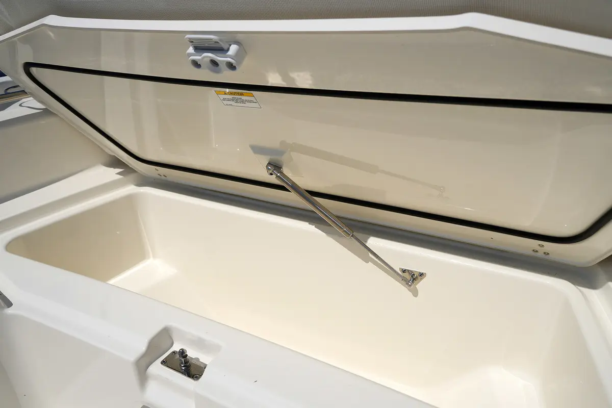 Thumbnail von Boston Whaler 250 Dauntless