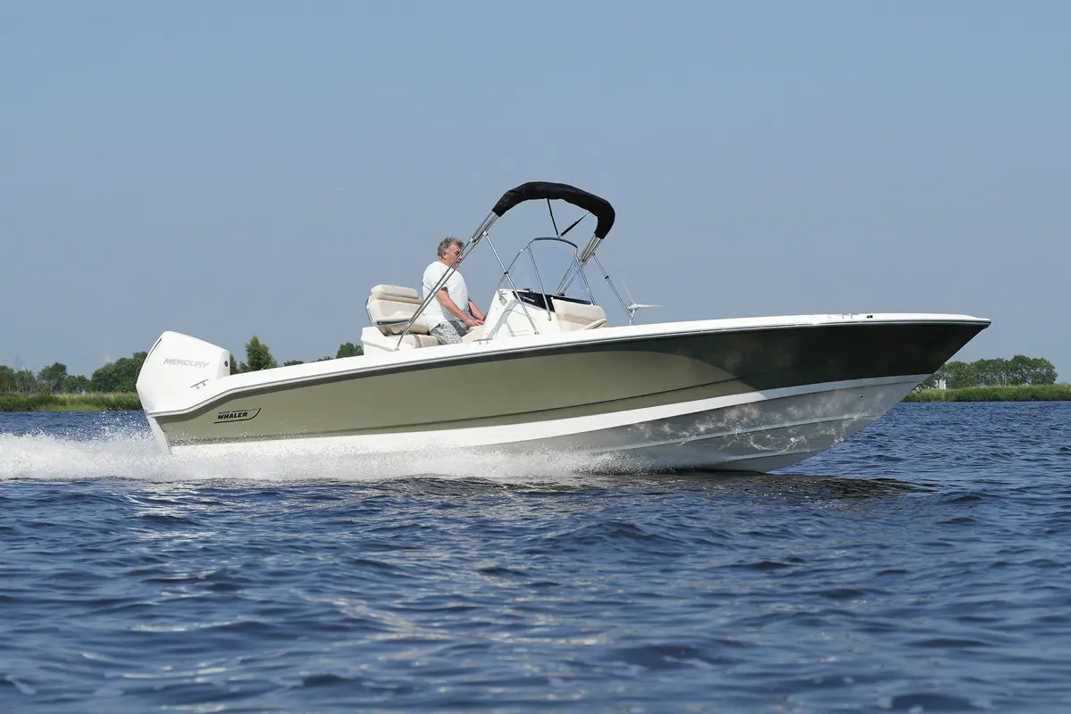 Thumbnail von Boston Whaler 250 Dauntless