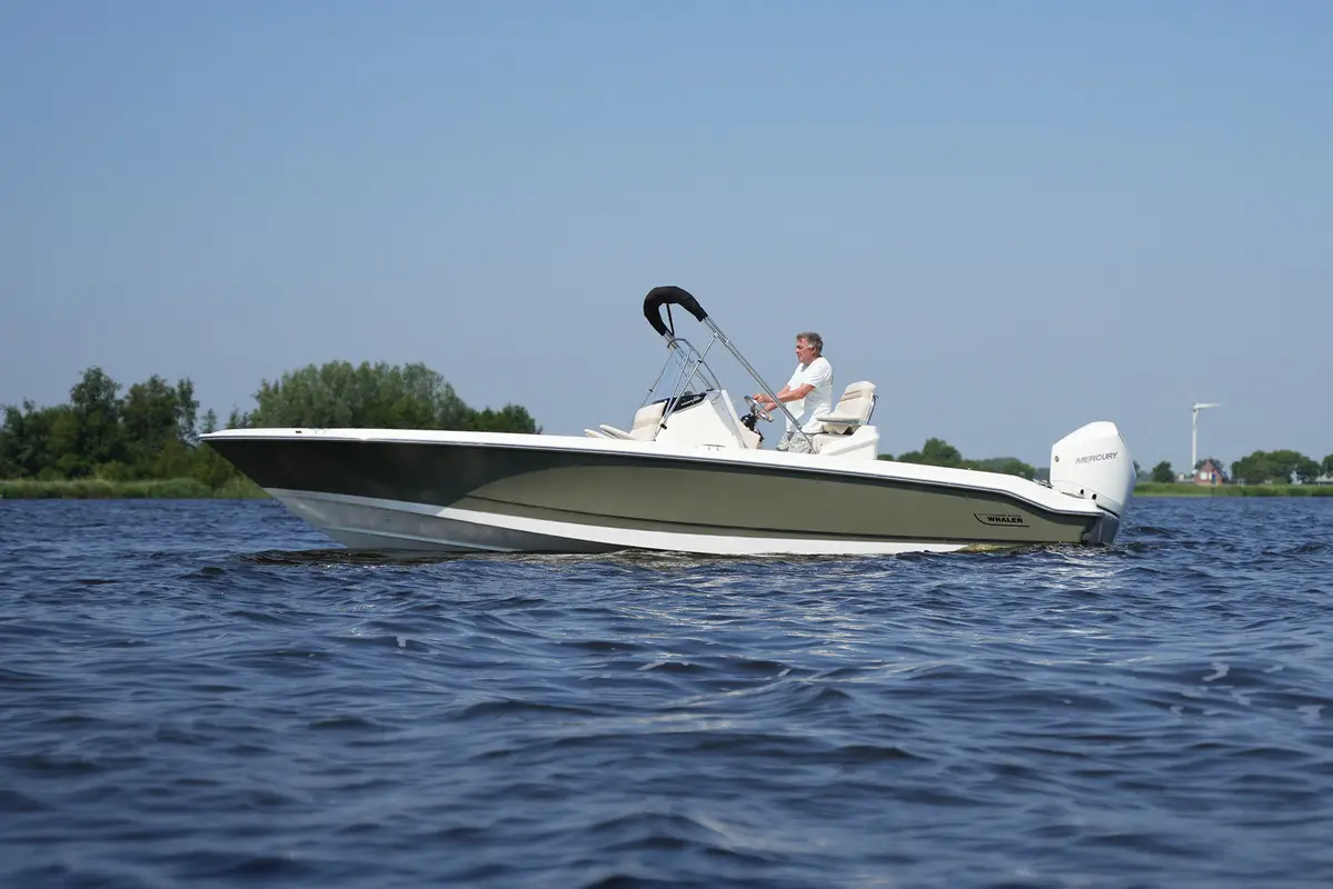 Thumbnail von Boston Whaler 250 Dauntless