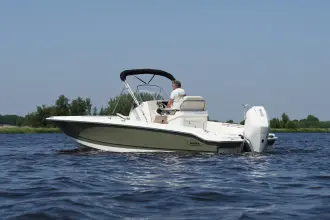 Thumbnail von Boston Whaler 250 Dauntless
