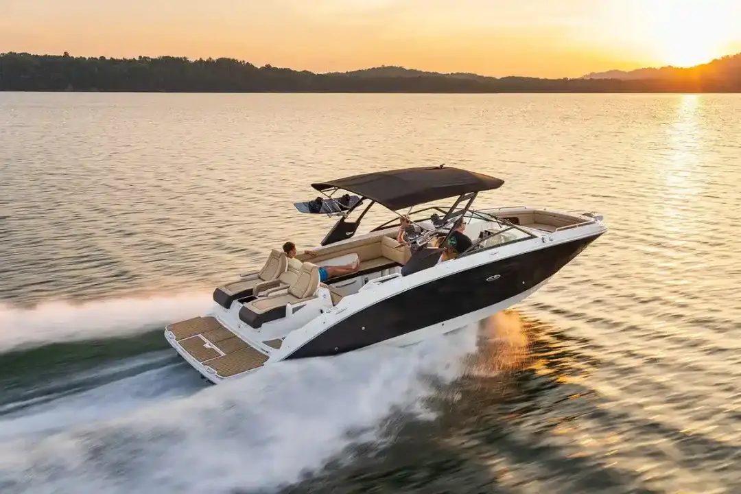 Sea Ray SDX 290  Sea Ray SDX 290