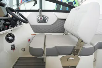 Thumbnail von Sea Ray SDX 250