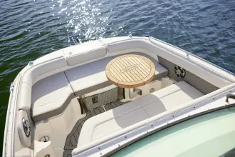 Thumbnail von Sea Ray SDX 250