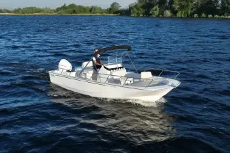 Thumbnail von Boston Whaler 210 Montauk