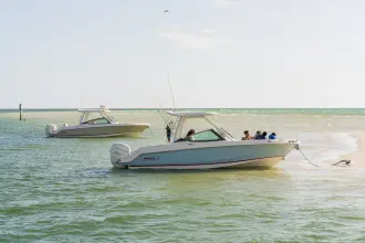 Thumbnail von Boston Whaler 240 Vantage