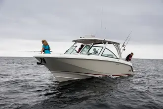 Thumbnail von Boston Whaler 320 Vantage