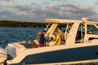 Thumbnail von Boston Whaler 420 Outrage