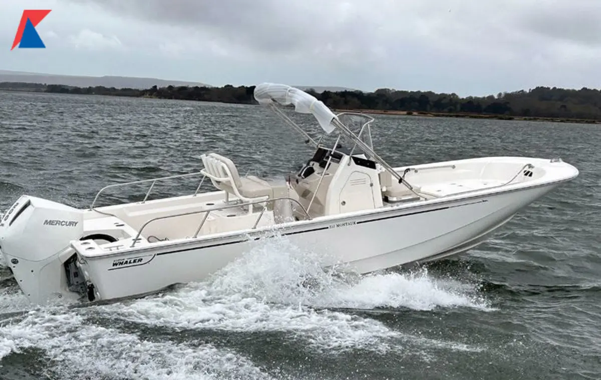 Boston Whaler 210 Montauk