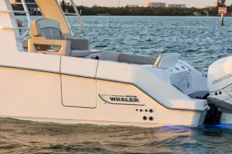 Thumbnail von Boston Whaler 350 Realm