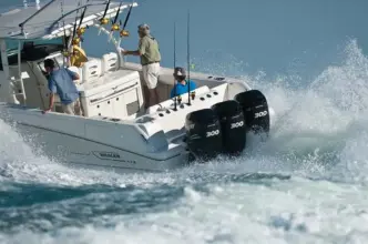 Thumbnail von Boston Whaler 380 Outrage