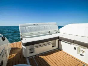 Thumbnail von Sea Ray SDX 250 Outboard