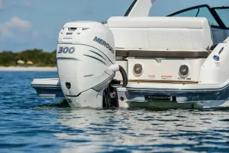 Thumbnail von Sea Ray SDX 250 Outboard