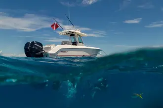 Thumbnail von Boston Whaler 280 Outrage