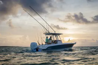 Thumbnail von Boston Whaler 230 Outrage