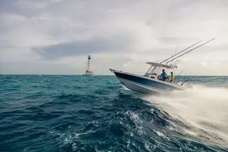 Thumbnail von Boston Whaler 230 Outrage