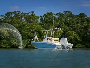 Thumbnail von Boston Whaler 220 Dauntless