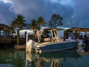 Thumbnail von Boston Whaler 220 Dauntless