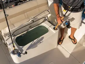 Thumbnail von Boston Whaler 220 Dauntless