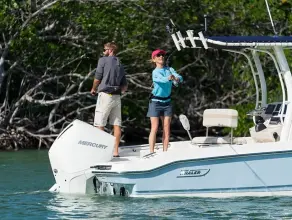 Thumbnail von Boston Whaler 220 Dauntless
