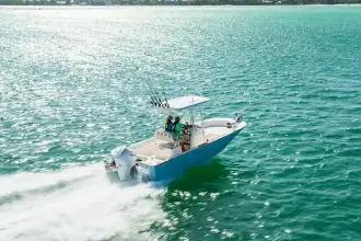 Thumbnail von Boston Whaler 210 Montauk