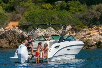 Thumbnail von Sea Ray SDX 250 Outboard