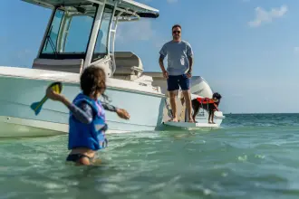 Thumbnail von Boston Whaler 280 Dauntless